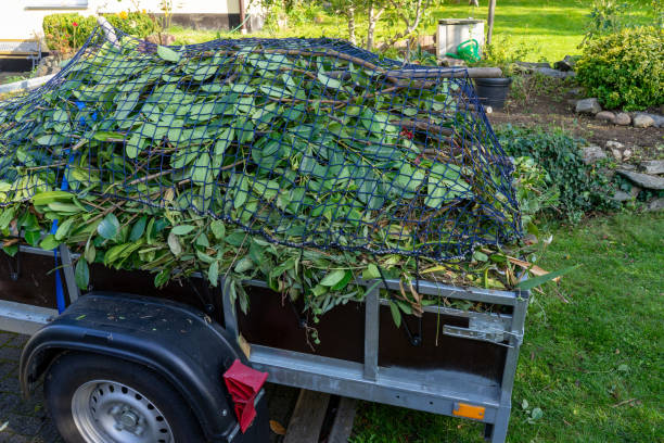 Best Yard Waste Removal  in Blackshear, GA